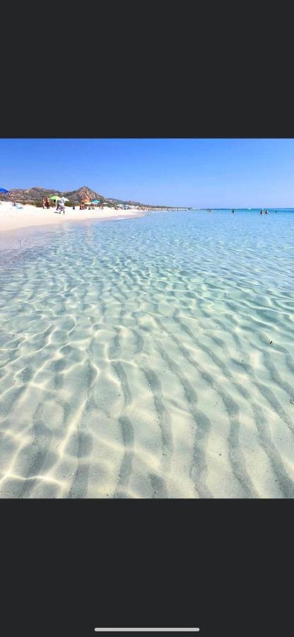 Le Residenze Del Mare Monolocale N2 Daire La Caletta Dış mekan fotoğraf