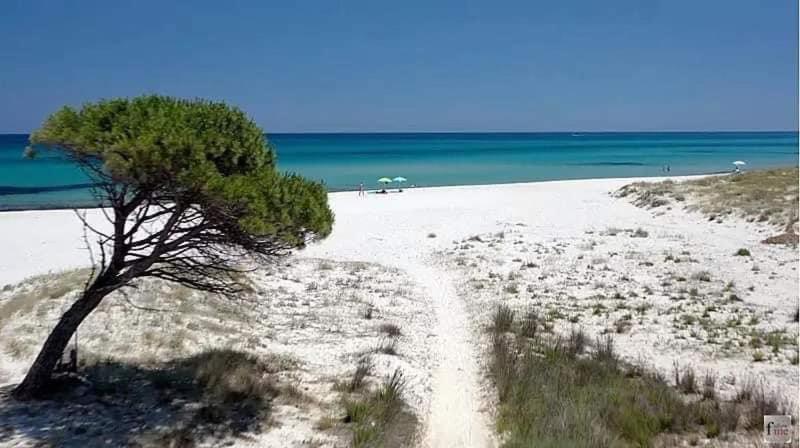 Le Residenze Del Mare Monolocale N2 Daire La Caletta Dış mekan fotoğraf
